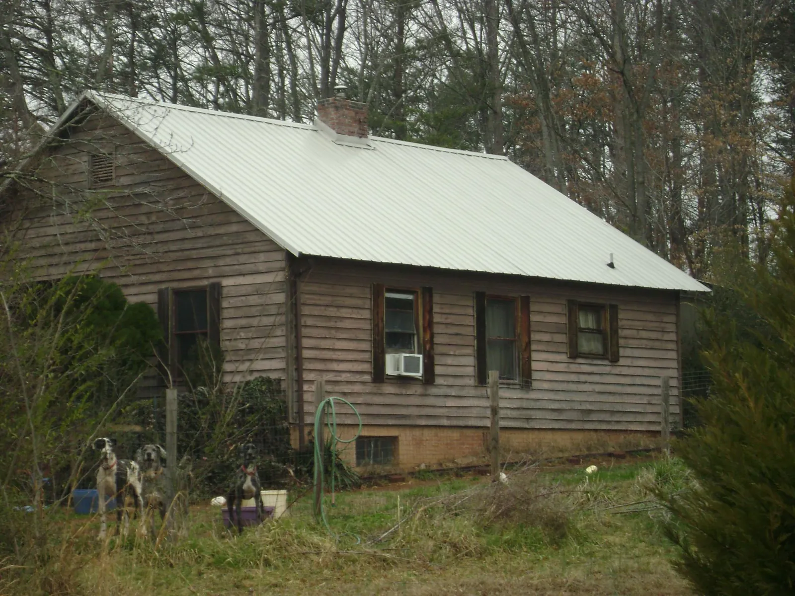 White metal roof on an old wood sided farmhouse, from a Asphalt Shingle Roof Repair job in Walland